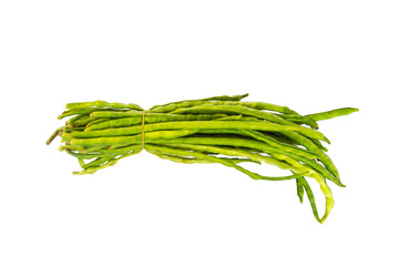 Yardlong bean, also called chinese long bean,  isolated on white background.
