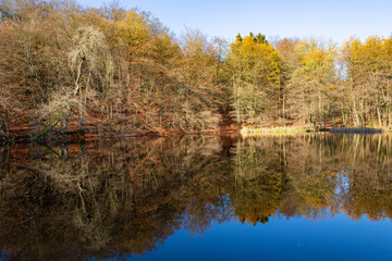 Autumn landscape with a lake in Teutoburger Wald, Germany