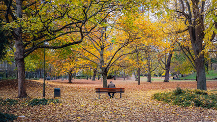 lonely man sitting on park bench in beautiful autumn park