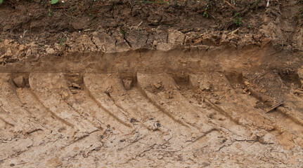 Track and tread marks of a country sandy forest road in summer.