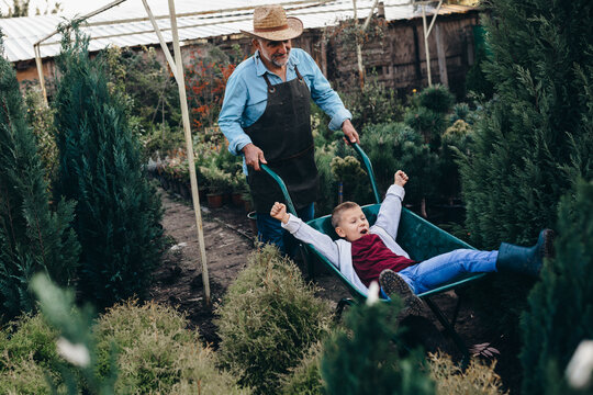 grandfather giving ride to his grandson in wheelbarrow in nursery garden - Powered by Adobe