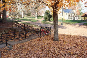 Autumn vibes and fall colors with a bicycle among fallen leaves