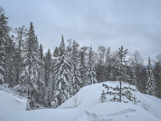Winter snow background, Christmas postcard