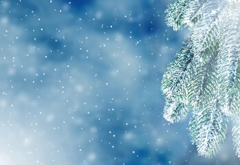 Fototapeta na wymiar Winter Christmas background with fir tree branch. Merry Christmas and happy New Year greeting card. Winter landscape with snow and fir trees.