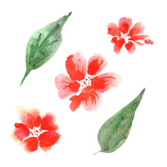 Set of watercolor flowers and leaves isolated on white background, design element for party, wedding, event.