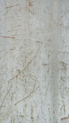 Metal texture close-up. Grey scratched metal texture background with screws