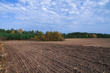 Plowed field in autumn for winter crops. Agricultural industry.