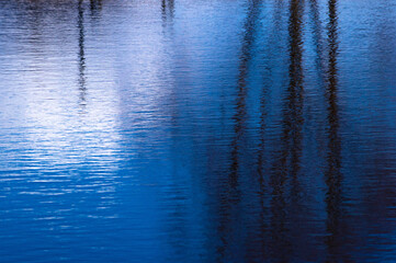 Reflections of trees on the water. The water is beautiful blue with small ripples. Wavy water surface.