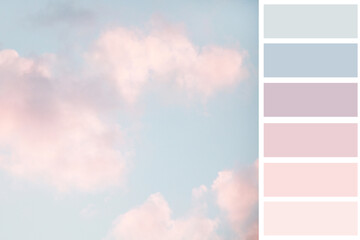 pastel pink an blue colours combination
