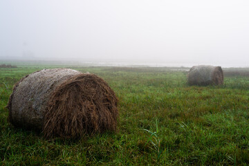 Zalane łąki pod Łęczycą. bele siana w wodzie, rozlewisko Bzury © Piotr Szpakowski