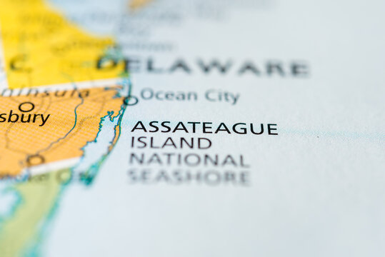 Assateague Island National Seashore, Maryland, USA.
