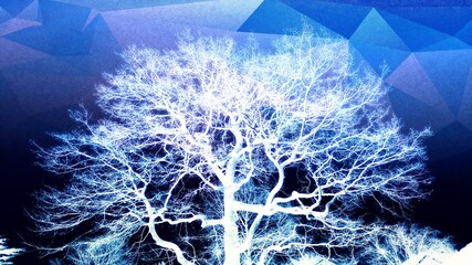 outline of huge spreading white oak tree outline on a blue triangular background
