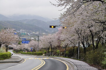 road in the mountains