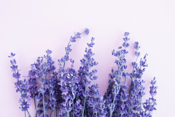 
Lavender branch,
mothers Day,
 purple flowers,
Valentine's Day.