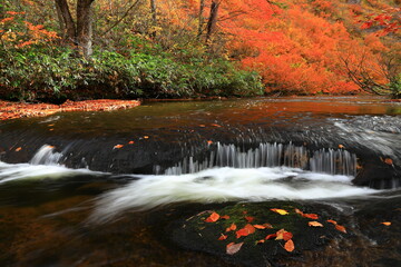 紅葉の桃洞渓谷