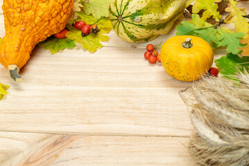 Abstract autumn. Natural harvest with rye spike orange pumpkin, fall dried leaves, red berries and...