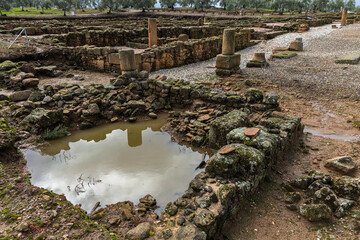 Roman ruins of Caparra. Extremadura. Spain.