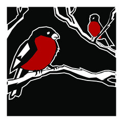 Bullfinches on a branch on a black background. Vector bird