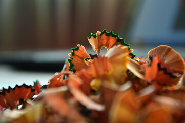 pencil sharpener and shavings