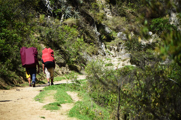 Fototapeta premium Travel adventure in Peru as people walking uphill on the footpath. Unrecognizable people hiking the Inca trail to Machu Picchu with large backpacks.