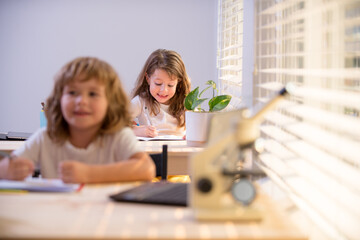 Fototapeta premium Children sitting at desk in school classroom and writing test. Schoolkids writing in notebook during lesson in class.