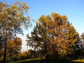 Fototapeta premium Nature and city in autumn colors