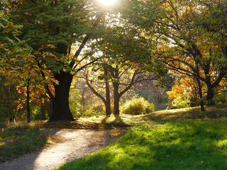 Nature and city in autumn colors