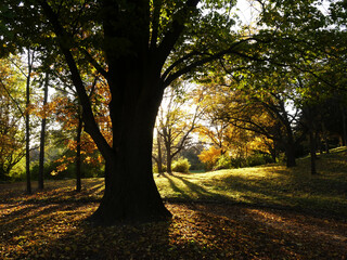 Nature and city in autumn colors