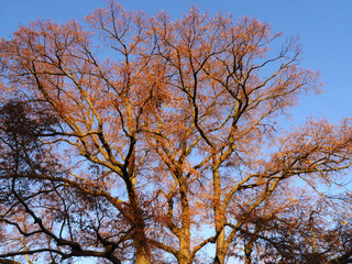 Nature and city in autumn colors