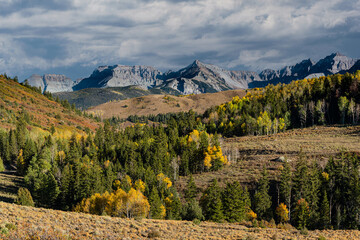 Fototapeta premium Beautiful Autumn Color in the San Juan Mountains of Colorado.