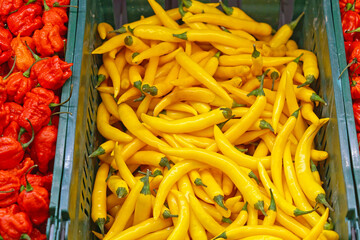 Yellow chili peppers