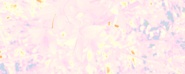 Obraz na płótnie Canvas Pastel Rose Decoration. Pink Plant Print. White Silk Backdrop. Bright Fashion Element. Orange Amazing Wallpaper. Blue Multicolor Illustration. Orange Abstract Print.