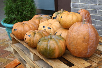 pumpkins and gourds