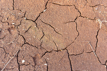 Drainage of swamp for peat extraction. Dry lake in the process of drought and lack of rain or moisture. Dried lake under impact of climate change and drought. Water crisis and ecological catastrophy