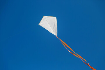 White red tailed kite flying against blue clear sky