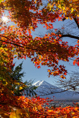 View of mountain Fuji in autumn (Japon)