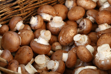 Brown champignon edible mushrooms at retail