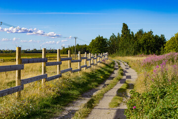 Fototapeta na wymiar A wooden fence, meadow and dirt road in the countryside during a summer day