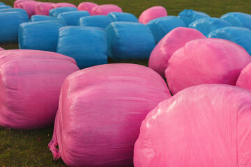 Fototapeta premium Close-up of blue and pink hay rolls. Agricultural stretch film is a method of preservation based on a standard chemical fermentation process.