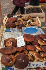 Brive la Gaillarde (Corrèze, France) - Scène de marché à la halle Georges Brassens - Cèpes