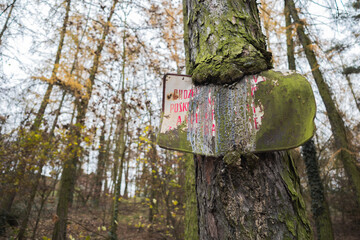 sign old overgrown forest tree autumn