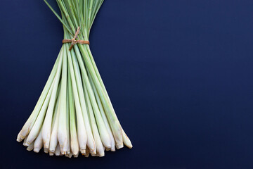 Fresh lemongrass on dark background.