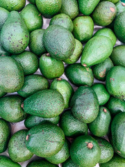 lots of ripe green avocado for cooking as a background