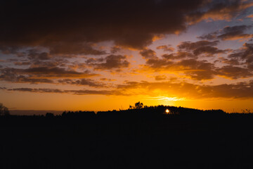sunset over the field