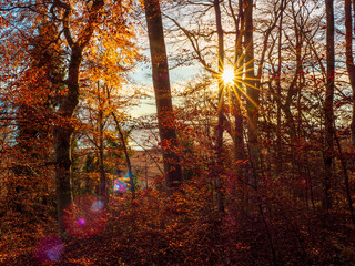 Herbst auf der Herreninsel am Chiemsee