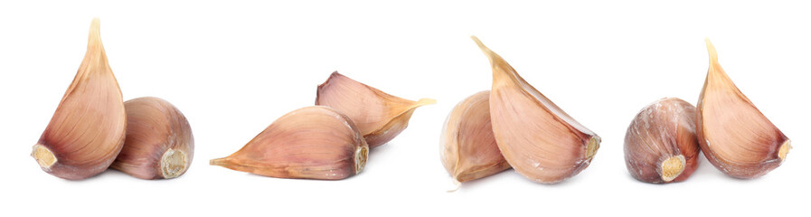 Set of fresh garlic cloves on white background. Banner design
