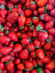 lots of ripe sweet strawberry fruit for cooking as a background