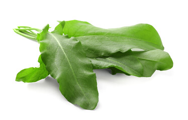 Bunch of fresh green sorrel leaves on white background