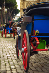 horse carts parked in Rome
