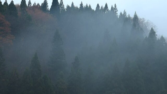 朝もや」の写真素材 | 4,081件の無料イラスト画像 | Adobe Stock